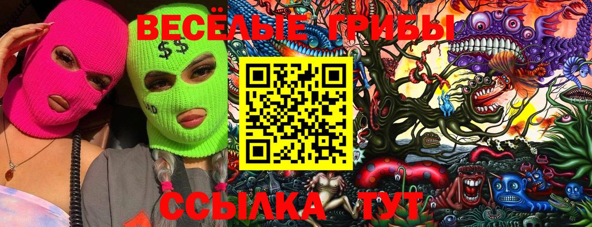 Галлюциногенные грибы Psilocybe Воронеж