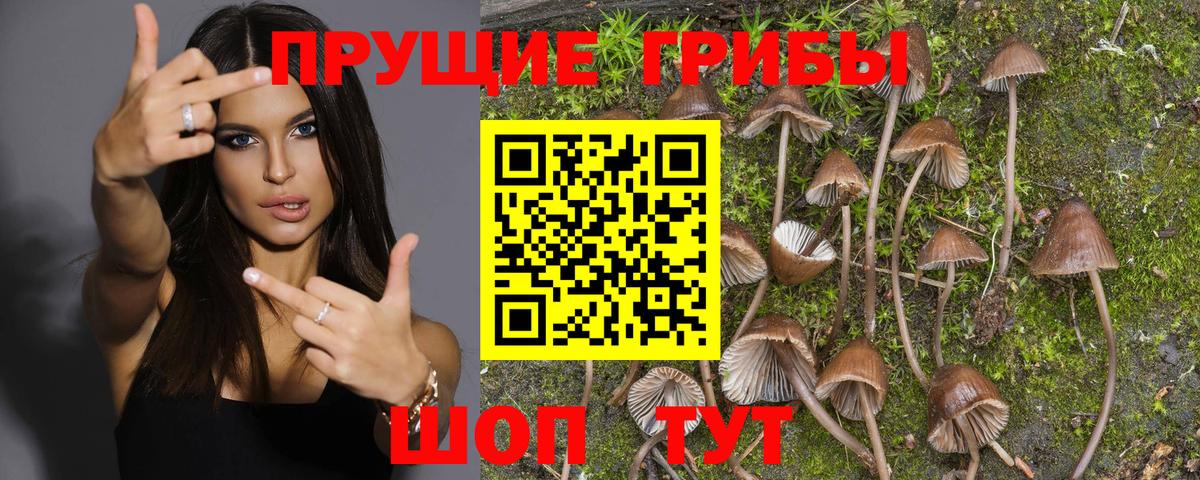 Галлюциногенные грибы Cubensis  Вход с VPN  Воронеж 